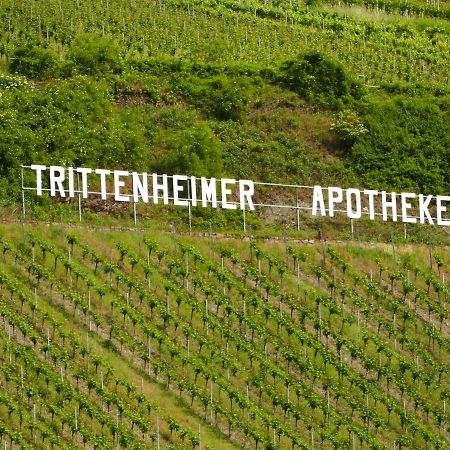 Katrin-Cara Mia Ferienwohnung Trittenheim Kültér fotó