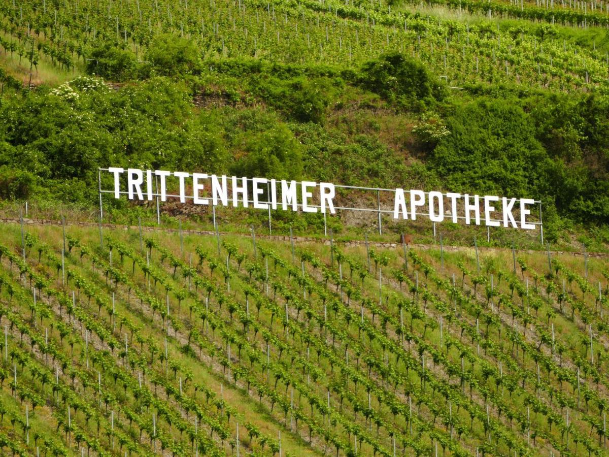 Katrin-Cara Mia Ferienwohnung Trittenheim Kültér fotó